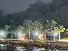 -野狸岛