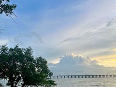 -宝安西湾红树林湿地公园