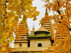 -北京石刻艺术博物馆(五塔寺)