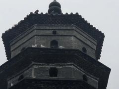 -东台西溪天仙缘景区