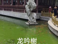 -隆兴寺