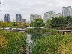 -群力丁香公园