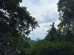 -青城山