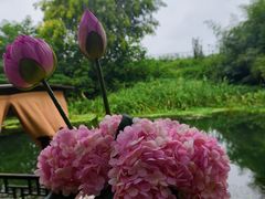-欢乐蟹庄·精品农家乐(阳澄湖莲花岛店)