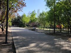 -古塔公园