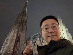 -斯蒂芬主教座堂(Stephansdom)