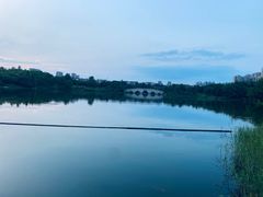 -眉山湿地公园(东坡区)