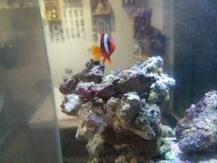 大堂-K·Kitchen KK牛扒厨房(江南西店)