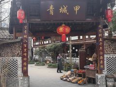 -青城甲(青城山店)