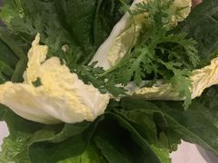 -百年果林椰子鸡(中洲店)