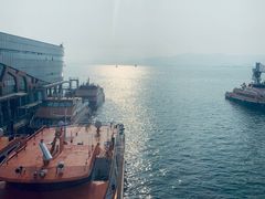 -招商蛇口邮轮母港(观光客运)
