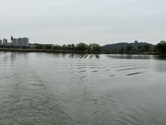 -长兴太湖图影湿地文化园