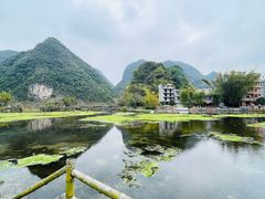 -靖西鹅泉风景区