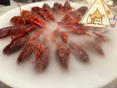 -红盔甲·小龙虾(天钥桥店)