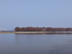 -东湖落雁景区