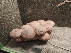 -常州博物馆