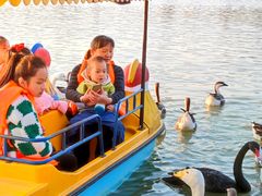 -艾溪湖湿地公园