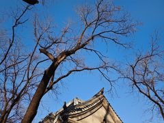 -山东大学(趵突泉校区)