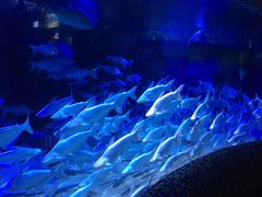 -成都浩海立方海洋公园