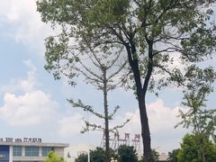 -桂林西站