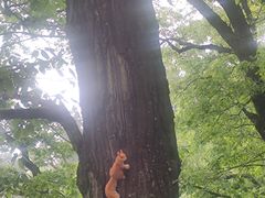 -终南山南五台景区