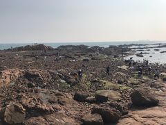 -八大关景区