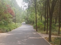 -千佛山风景名胜区