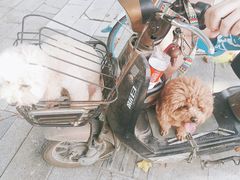 -万国摩托车市场