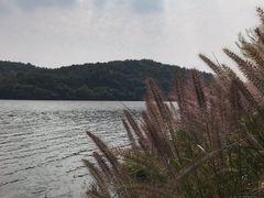 -南京市无想山景区