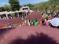 -牛岗山公园