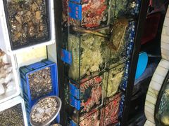-揭阳钟记小食(福田新村店)