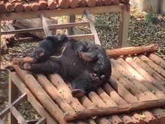 -昆明动物园