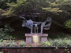 -七彩云南古滇温泉山庄