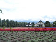 -富田农场
