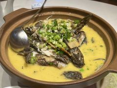 -胖子酸菜鱼(笛扬路店)