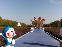 -金塔沙漠胡杨林景区