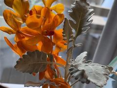 -月芽·自由餐厅·西溪湿地餐厅