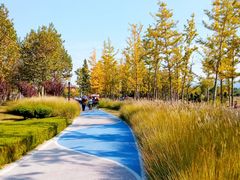 -羊亭河湿地公园