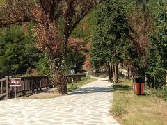 -黄陂区野村谷景区