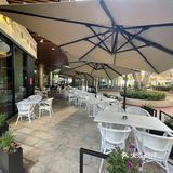 打卡海上世界下午茶