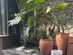 -陈熹公民族美食文化餐厅(中华广场店)