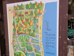 -日照海滨国家森林公园