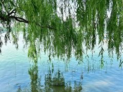 -南海子公园
