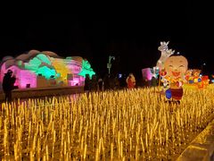 -长春公园(普阳街道)