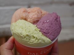斑斓椰子-Dal Cuore 达可芮冰淇淋(陕西北路店)
