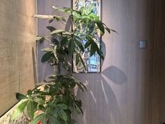 -单家老院·院子里的青岛菜(沙子口店)