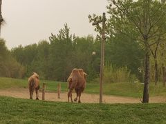 -北京野生动物园