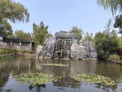 -溱湖国家湿地公园