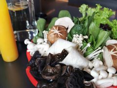 -额尔敦传统涮(公园西路店)