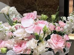 -三强鸽子(中原路店)